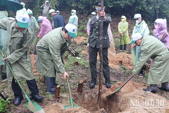 Lãnh đạo tỉnh Quảng Ngãi tham gia trồng cây đời đời nhớ ơn Bác Hồ.