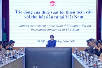 Thứ trưởng Kế hoạch và Đầu tư Nguyễn Thị Bích Ngọc chủ trì hội thảo. (Ảnh: CTV)