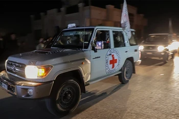 Xe của Hội Chữ thập đỏ quốc tế chuyển các con tin được trả tự do tới cửa khẩu Rafah, phía nam Dải Gaza, ngày 24/11/2023. (Ảnh: THX/TTXVN)