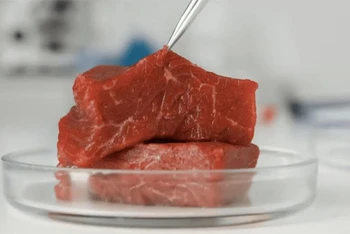 Italia trở thành nước đầu tiên trên thế giới cấm thịt nhân tạo