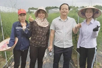 Các lao động huyện Quỳnh Phụ (tỉnh Thái Bình) tham gia chương trình lao động thời vụ tại Hàn Quốc năm 2023 cho thu nhập gần 40 triệu đồng/tháng.