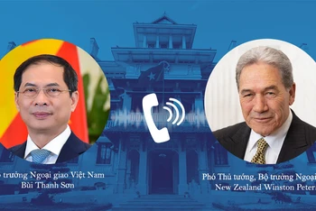 Bộ trưởng Ngoại giao Bùi Thanh Sơn điện đàm với Phó Thủ tướng, Bộ trưởng Ngoại giao New Zealand Winston Peters.