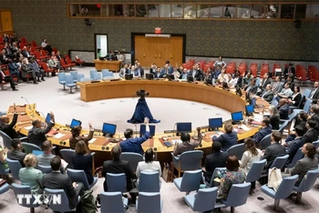 Toàn cảnh một cuộc họp của Hội đồng Bảo an Liên hợp quốc tại New York, Mỹ, ngày 24/5/2024. (Ảnh: THX/TTXVN)