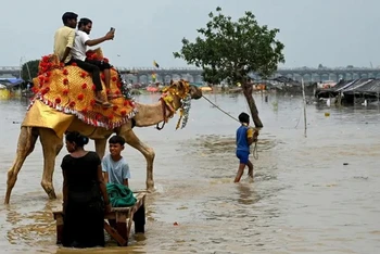 Cảnh ngập lụt trên một cánh đồng ven bờ sông Hằng ở Ấn Độ ngày 6/8 (Nguồn: Yahoo News)