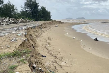 Sạt lở kéo dài trên bờ biển thuộc các thôn Tân Ninh Châu và Hội Tiến (xã Xuân Hội).