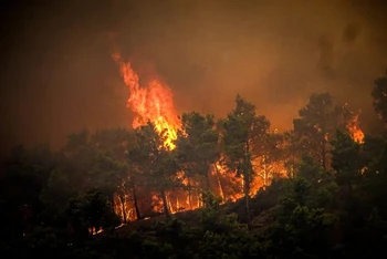 Khói bốc lên từ đám cháy rừng trên đảo Rhodes của Hy Lạp ngày 22/7/2023. (Ảnh: Reuters).
