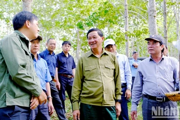 Đồng chí Trần Đức Quận (giữa) và Phó Chủ tịch UBND tỉnh Lâm Đồng Phạm S (bìa phải) tìm hiểu tình hình hoạt động của doanh nghiệp cao-su tại địa phương. (Ảnh: Ngọc Ngà)