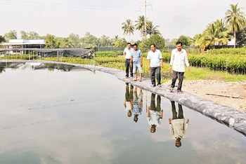 Gia đình ông Nguyễn Văn Hùng đầu tư hơn 160 triệu đồng để đào ao trữ nước ngọt.