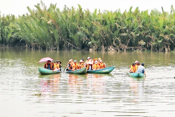 Rừng dừa Cà Ninh thu hút du khách.