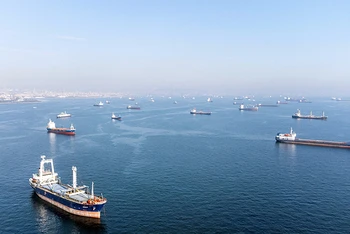 Các tàu chở ngũ cốc đi qua eo biển Bosphorus ở Thổ Nhĩ Kỳ. (Ảnh REUTERS)