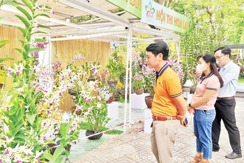 Người dân tham quan tại Festival hoa lan Thành phố Hồ Chí Minh lần thứ 2 năm 2023.