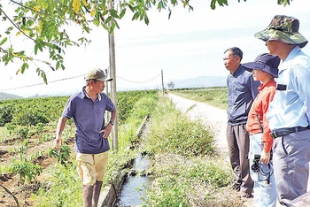 Hệ thống kênh mương đang phát huy hiệu quả trong sản xuất nông nghiệp tại huyện Đăk Hà, tỉnh Kon Tum.