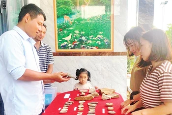 Trưng bày di vật được phát hiện tại Di tích thôn 12, xã Đắk Sin, huyện Đắk R’Lấp, tỉnh Đắk Nông.
