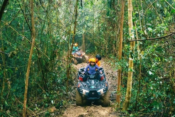 Du khách đua xe địa hình trong rừng lim Tân Hóa (Quảng Bình).