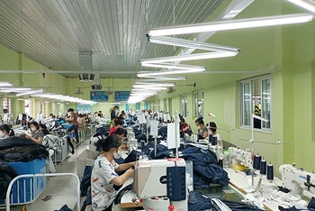 Sản xuất hàng dệt may xuất khẩu tại Tổng công ty cổ phần Dệt Nam Định.