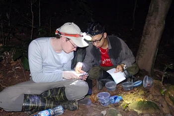 Tiến sĩ Ngô Ngọc Hải (người bên phải) cùng chuyên gia nghiên cứu người nước ngoài trong một chuyến khảo sát thực địa.