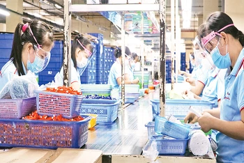 Hoạt động sản xuất của Công ty cổ phần Tập đoàn bút bi Thiên Long, Khu công nghiệp Tân Tạo, quận Tân Bình. (Ảnh THẾ ANH)