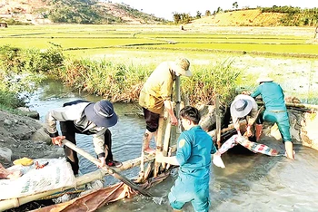 Huyện Di Linh, tỉnh Lâm Đồng huy động lực lượng cùng người dân nạo vét kênh mương tích trữ nước sản xuất nông nghiệp. 