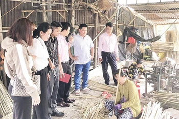 Nhiều phụ nữ xã Trường Thắng, huyện Thới Lai phát triển kinh tế gia đình từ nguồn vốn chính sách. 