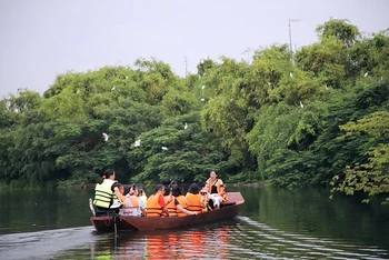 Du khách tham quan đảo Cò Chi Lăng Nam. (Ảnh LĐ)