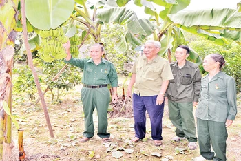 Ông Trần Văn Luần (ngoài cùng bên trái) ở thôn Tân Na, xã Nhật Tiến, huyện Hữu Lũng (Lạng Sơn) giới thiệu mô hình kinh tế của gia đình.