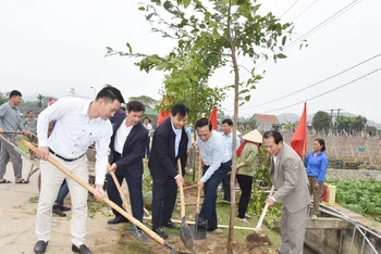 Lãnh đạo Hội Nông dân tỉnh Nghệ An và huyện Quỳnh Lưu, Hội Nông dân các địa phương trồng cây.