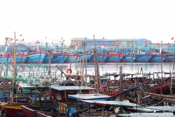 Các tàu cá có công suất máy trên 90CV trở lên được tỉnh Nghệ An hỗ trợ để giảm bớt khó khăn.
