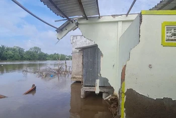 Nhiều ngôi nhà của người dân tại khu vực thị xã Giá Rai (Bạc Liêu) bị sạt lở xuống sông.