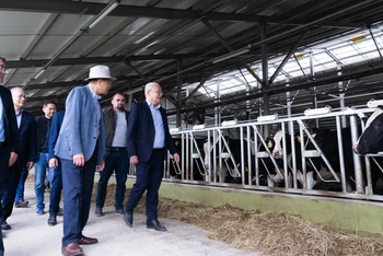 Đại sứ Việt Nam tại Nga Đặng Minh Khôi đến thăm trang trại bò sữa của Tập đoàn TH tại tỉnh Kaluga, Nga. (Ảnh: THANH THỂ)