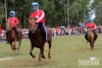 Các kỵ mã tranh tài trên đường đua hấp dẫn người xem tại hội đua ngựa Gò Thì Thùng, Phú Yên