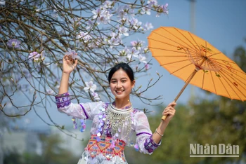 [Ảnh] Thiếu nữ Tây Bắc khoe sắc cùng hoa ban Điện Biên những ngày tháng 3