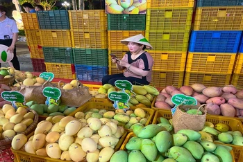 Xoài là một trong những mặt hàng trái cây của Việt Nam được xuất khẩu sang nhiều thị trường trên thế giới. 
