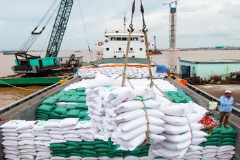 Việt Nam có nhiều cơ hội xuất khẩu gạo trong năm 2024.