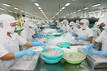 Mỹ hiện là nhà nhập khẩu cá tra hàng đầu của Việt Nam. 