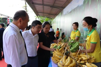 Sản phẩm chuối của Việt Nam rộng đường xuất khẩu sang thị trường Trung Quốc. 