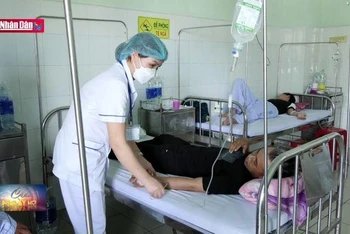 Quá tải bệnh nhân sốt xuất huyết tại các bệnh viện ở Đà Nẵng
