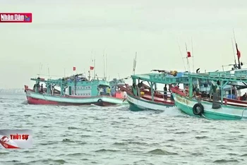 Ngăn chặn tàu cá khai thác trái phép ở vùng biển nước ngoài