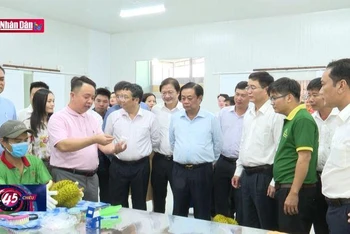 Chuyến hàng sầu riêng đầu tiên ở Đắk Lắk xuất khẩu chính ngạch