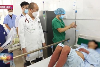 Hà Nội thêm 55 ổ dịch sốt xuất huyết mới