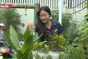 Vườn cộng đồng nâng cao ý thức phân loại rác của người dân Đà Nẵng