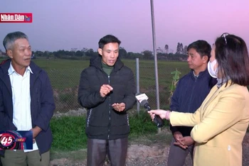 UBND tỉnh Thái Bình yêu cầu xử lý việc Truyền hình Nhân Dân nêu