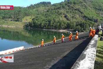 Quảng Nam tái tạo nguồn lợi thủy sản lòng hồ thủy điện