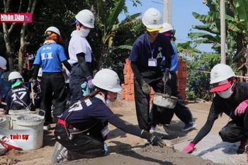 50 tình nguyện viên Nhật Bản đến Đồng Tháp xây nhà cho người nghèo