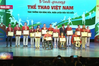 Vinh quang thể thao Việt Nam