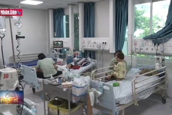 TP Hồ Chí Minh: Nguy cơ dịch tay chân miệng chồng dịch sốt xuất huyết