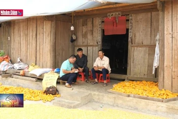 Lào Cai khó triển khai các chương trình hỗ trợ dân tộc ít người