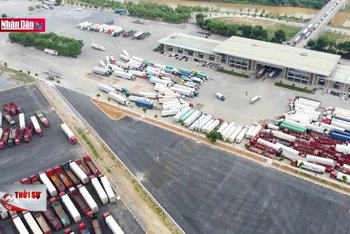 Tạo điều kiện tối đa cho hàng hóa xuất nhập khẩu qua cửa khẩu Lào Cai