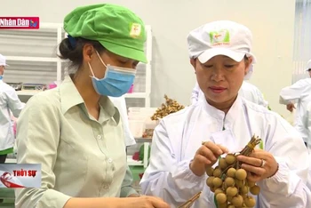 Kiểm soát chất lượng, nâng cao giá trị xuất khẩu nông sản Việt
