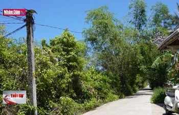 Nguy cơ mất an toàn từ lưới điện nông thôn ở Thừa Thiên Huế