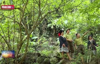 Phát huy vai trò của cộng đồng trong công tác bảo vệ rừng